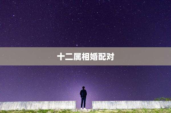 十二属相婚配对