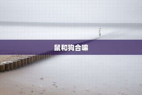 鼠和狗合嘛