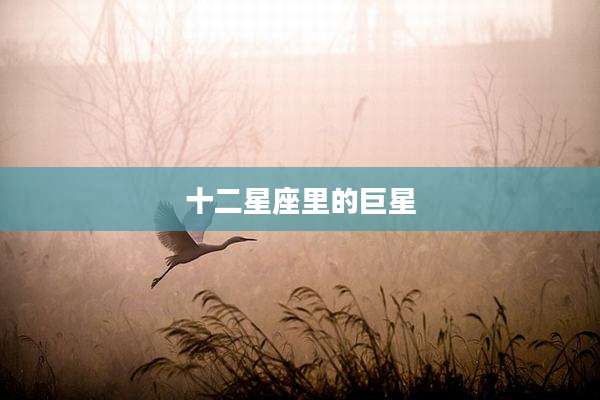 十二星座里的巨星