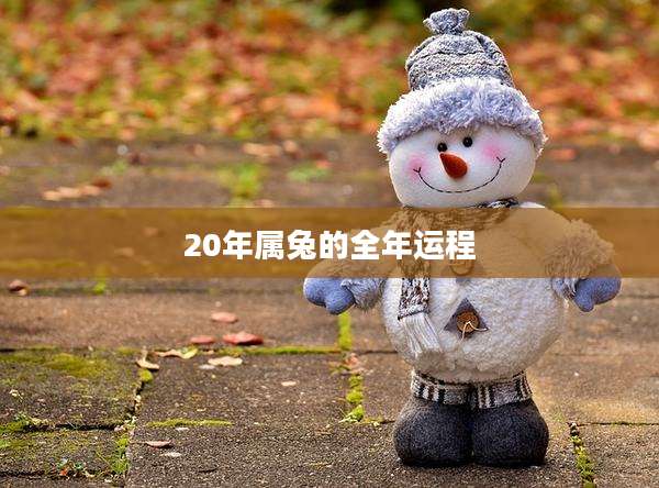 20年属兔的全年运程