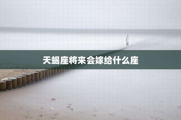 天蝎座将来会嫁给什么座