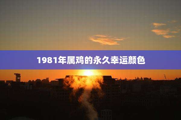 1981年属鸡的永久幸运颜色