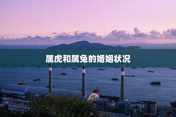 属虎和属兔的婚姻状况