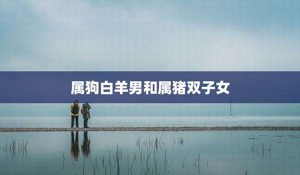 属狗白羊男和属猪双子女