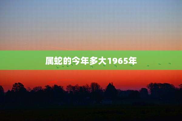 属蛇的今年多大1965年