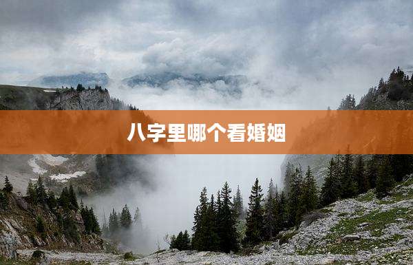 八字里哪个看婚姻