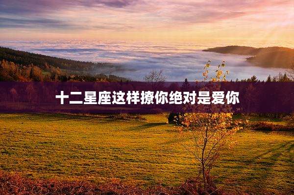 十二星座这样撩你绝对是爱你