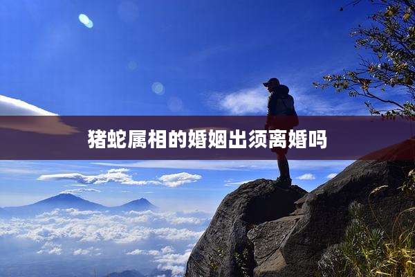 猪蛇属相的婚姻出须离婚吗