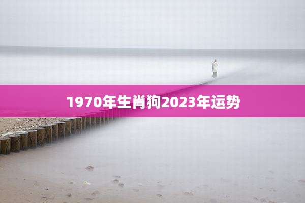 1970年生肖狗2023年运势