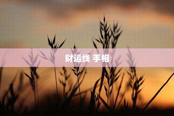 财运线 手相