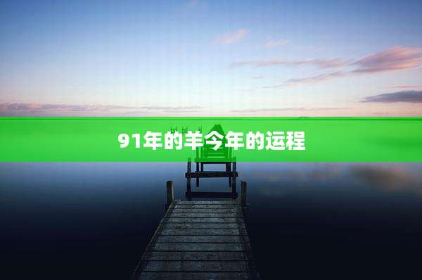 91年的羊今年的运程