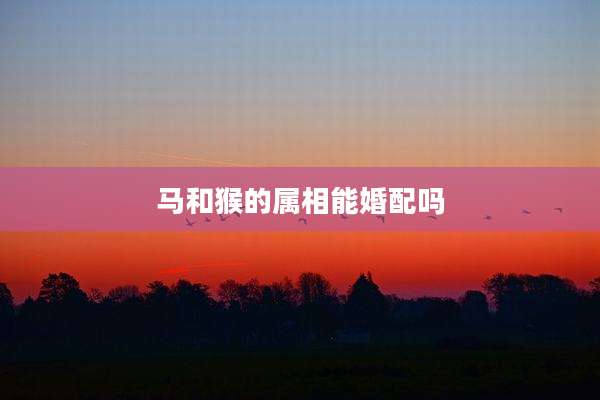 马和猴的属相能婚配吗