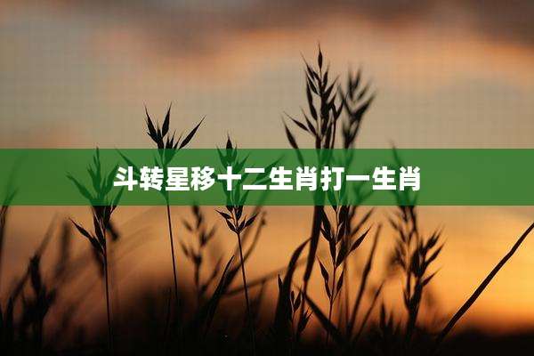 斗转星移十二生肖打一生肖