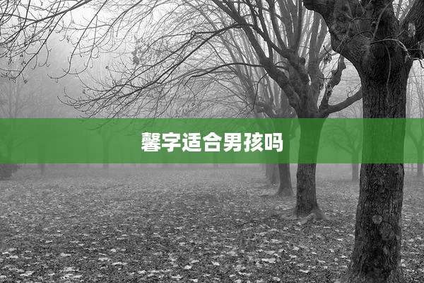 馨字适合男孩吗
