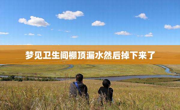 梦见卫生间棚顶漏水然后掉下来了