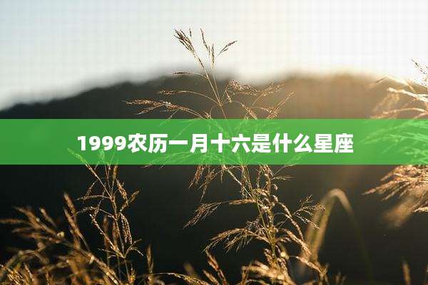 1999农历一月十六是什么星座