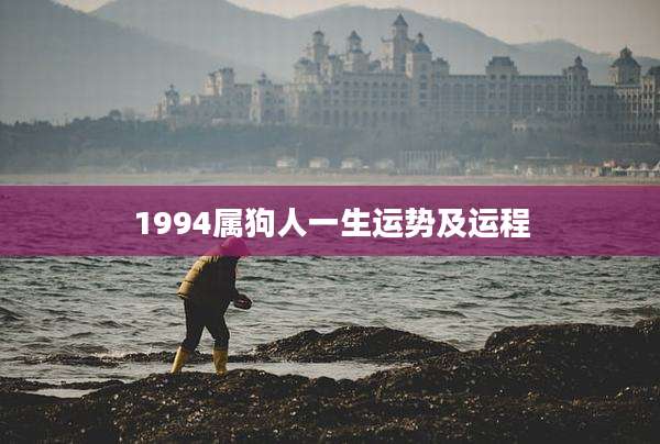 1994属狗人一生运势及运程