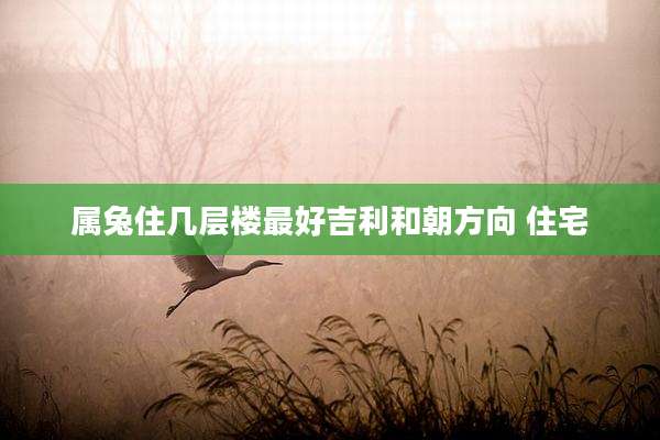 属兔住几层楼最好吉利和朝方向 住宅