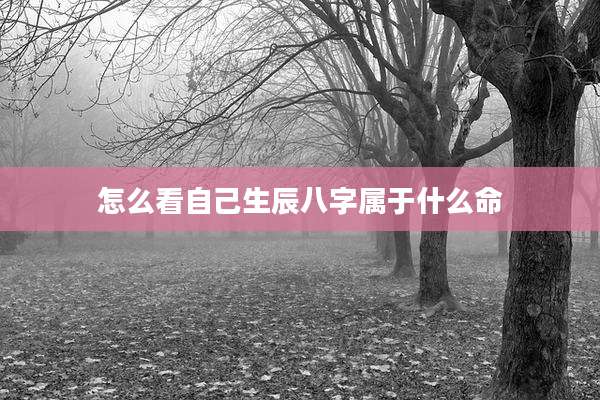 怎么看自己生辰八字属于什么命