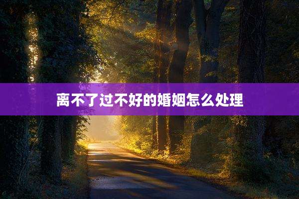 离不了过不好的婚姻怎么处理