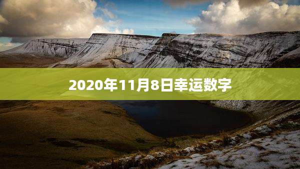 2020年11月8日幸运数字