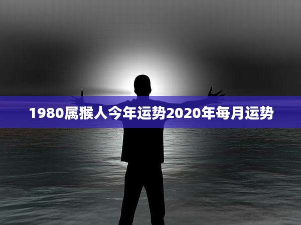 1980属猴人今年运势2020年每月运势