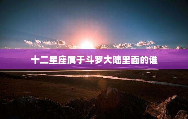 十二星座属于斗罗大陆里面的谁