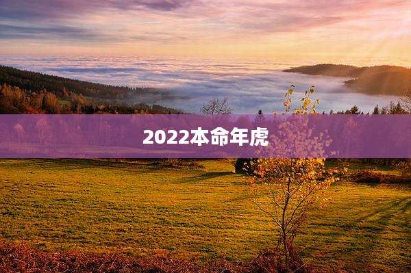 2022本命年虎