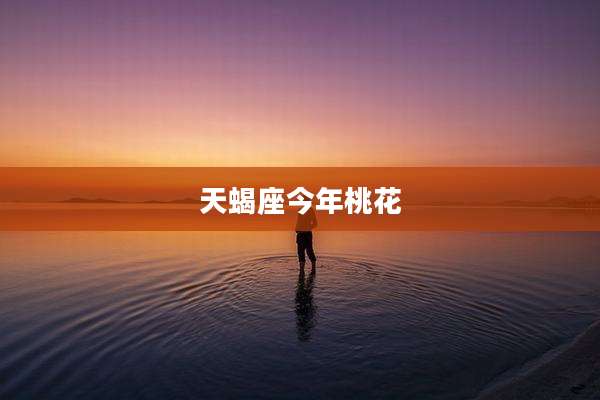 天蝎座今年桃花
