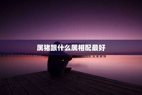 属猪跟什么属相配最好
