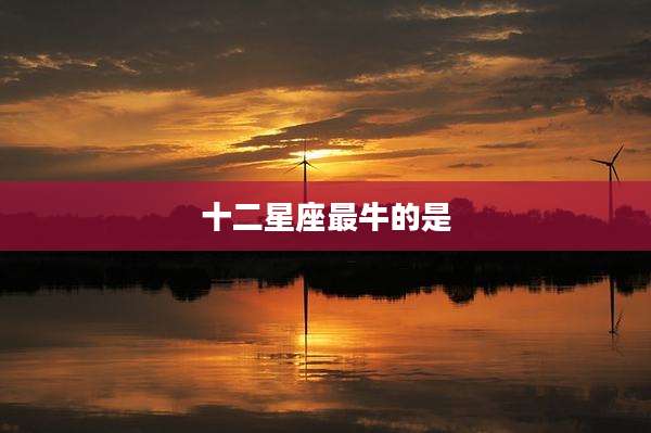 十二星座最牛的是
