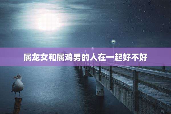 属龙女和属鸡男的人在一起好不好