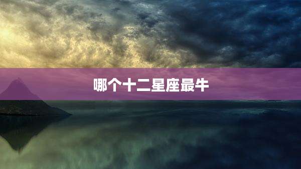 哪个十二星座最牛