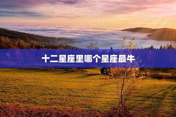 十二星座里哪个星座最牛