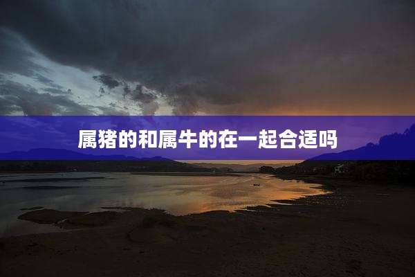 属猪的和属牛的在一起合适吗