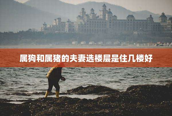 属狗和属猪的夫妻选楼层是住几楼好