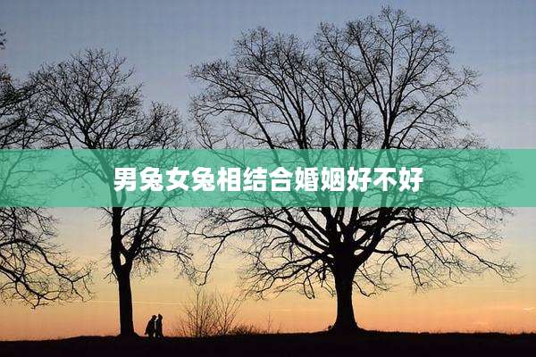 男兔女兔相结合婚姻好不好