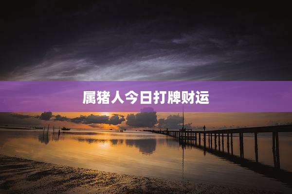 属猪人今日打牌财运