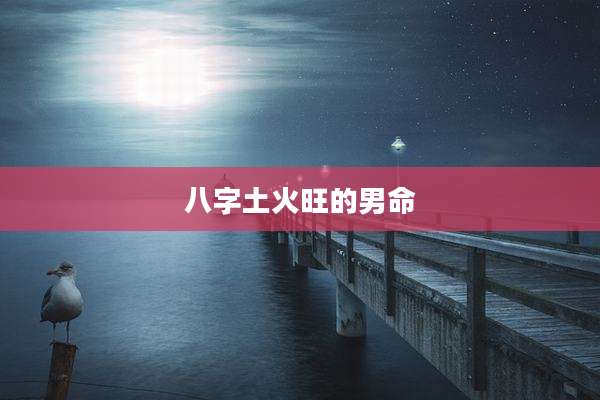 八字土火旺的男命