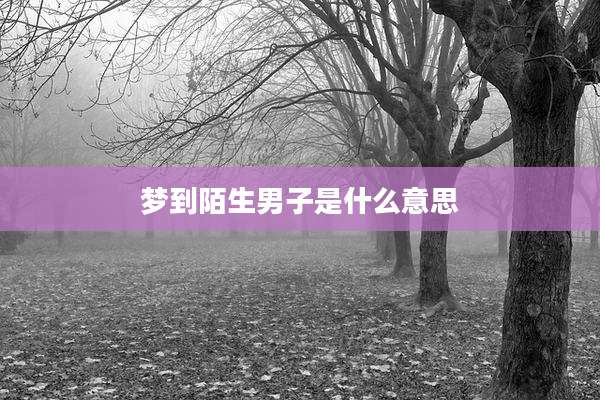 梦到陌生男子是什么意思