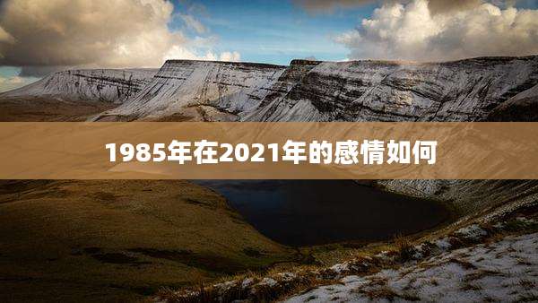 1985年在2021年的感情如何