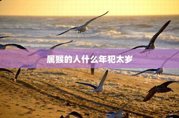 属猴的人什么年犯太岁