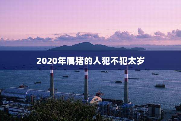 2020年属猪的人犯不犯太岁