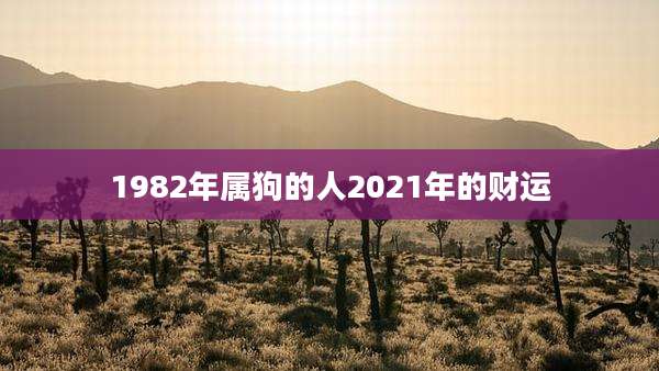 1982年属狗的人2021年的财运