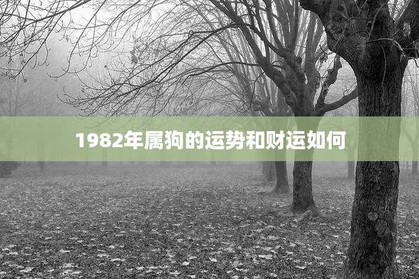 1982年属狗的运势和财运如何