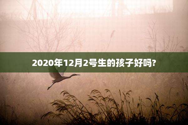 2020年12月2号生的孩子好吗?