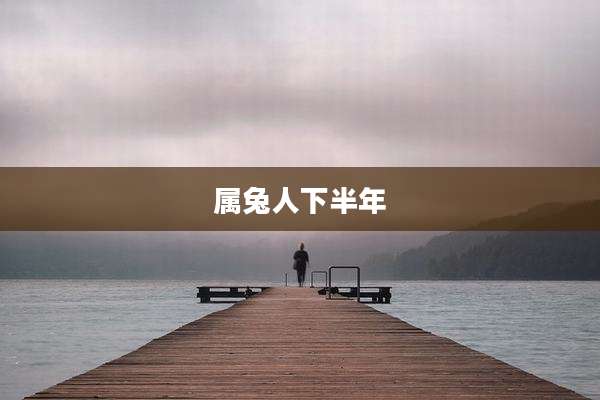 属兔人下半年
