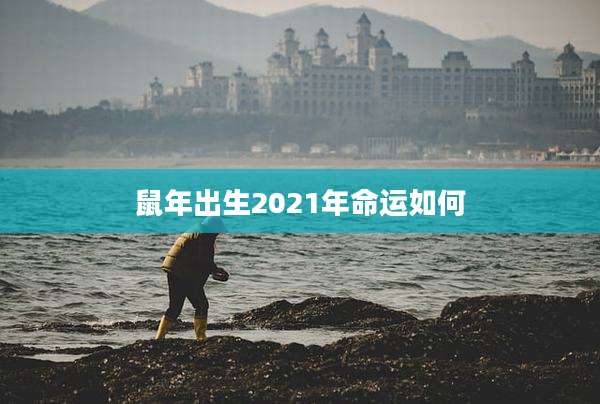 鼠年出生2021年命运如何