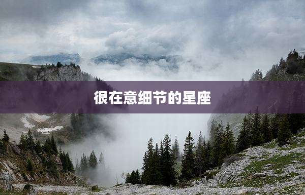 很在意细节的星座