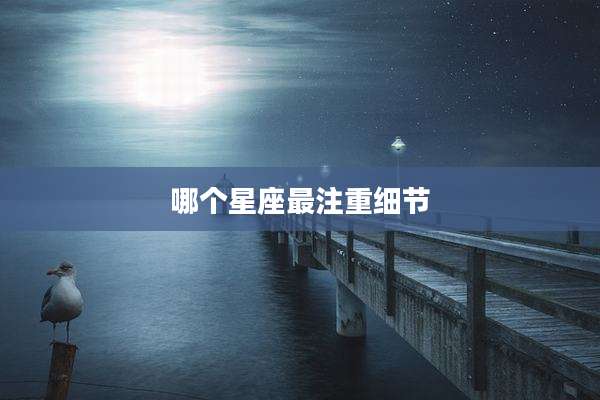 哪个星座最注重细节